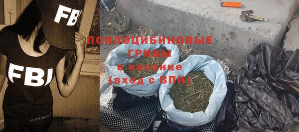 молекула духа Алексин