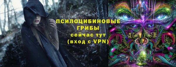 молекула духа Алексин