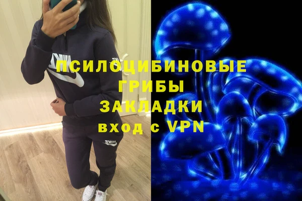 молекула духа Алексин