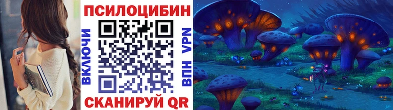 МЕГА ТОР  Дзержинск  Псилоцибиновые грибы прущие грибы  где купить наркотик 