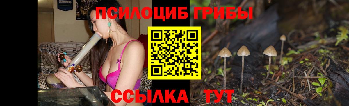 Псилоцибиновые грибы Psilocybine cubensis Дзержинск